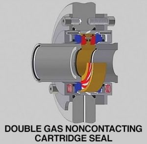 Double Gas Noncontacting Cartridge Seal
