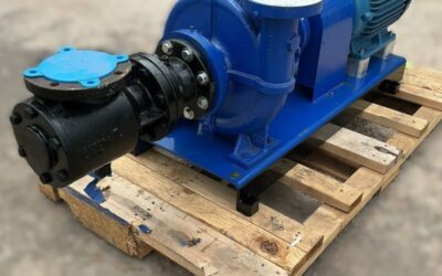 Pentair Aurora Pump Package with WEG 30HP Motor